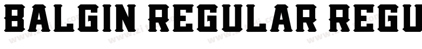 Balgin Regular Regul字体转换